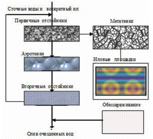 Очистка сточных вод